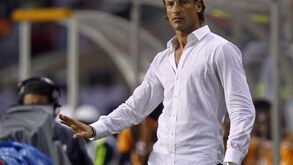 Camisa deu sorte a Hervé Renard