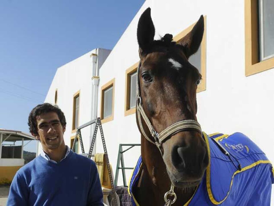Gonçalo Carvalho: «Cavalo lusitano vai dar muitas alegrias»