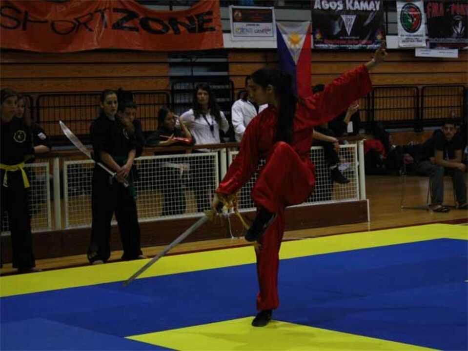 Kung Fu: Portugueses conquistam títulos Mundiais