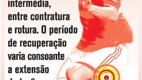 A lesão de Jardel à lupa