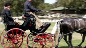 Hipismo: Portugal recebe Campeonato do Mundo de Atrelagem
