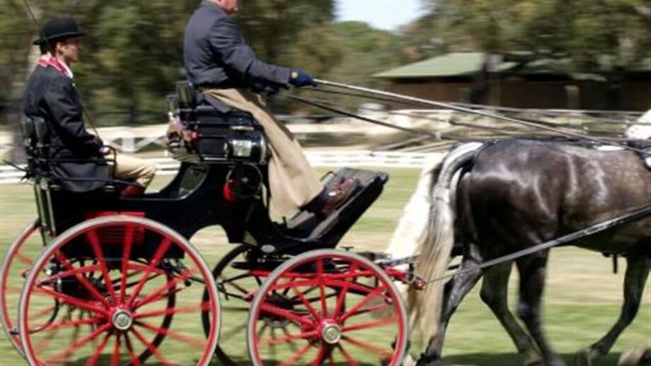 Hipismo: Portugal recebe Campeonato do Mundo de Atrelagem