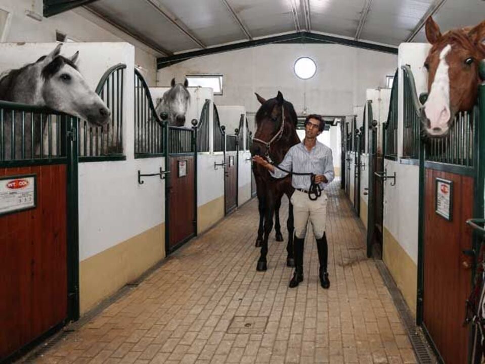 Equestre: Gonçalo Carvalho quer lever "Rubi" ao Rio'2016