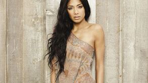 Nicole Scherzinger e Chris Brown enamorados?