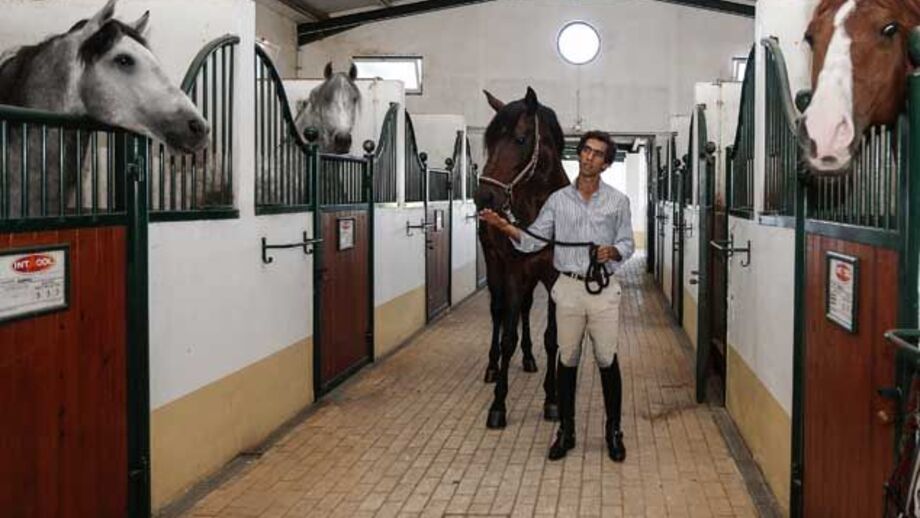 Equestre: Gonçalo Carvalho quer lever "Rubi" ao Rio'2016