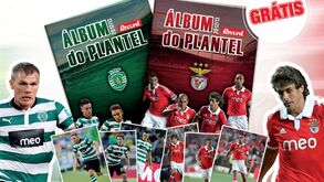 Álbum do Plantel 2012/13