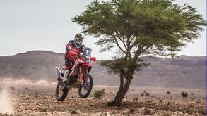 Rali de Marrocos: Hélder Rodrigues forçado a parar