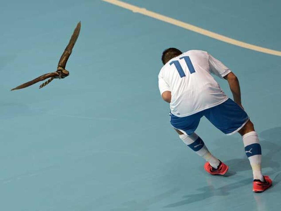 O outro falcão deste Mundial
