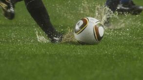 14 equipas da Liga em ação 