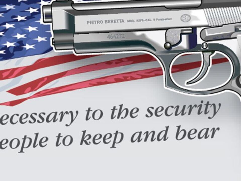 Armas regressam a debate