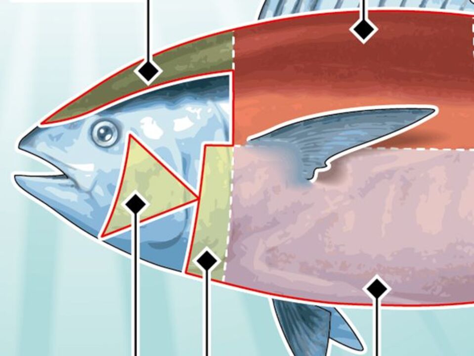 Atum vendido por preço recorde no Japão