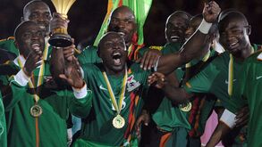 Tubarões no reino dos predadores