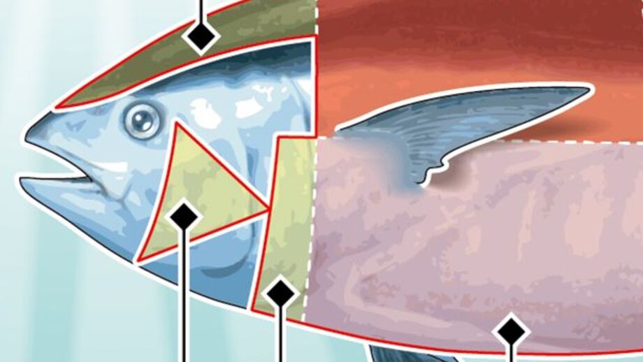 Atum vendido por preço recorde no Japão