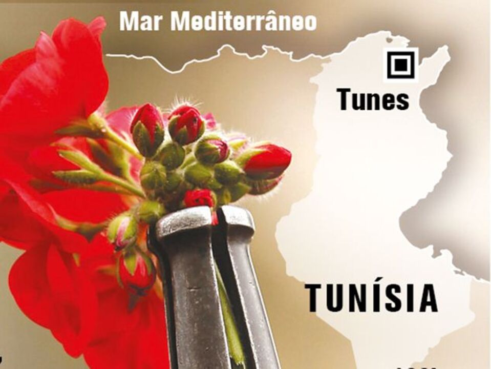 Nova agitação na Tunísia após crime político