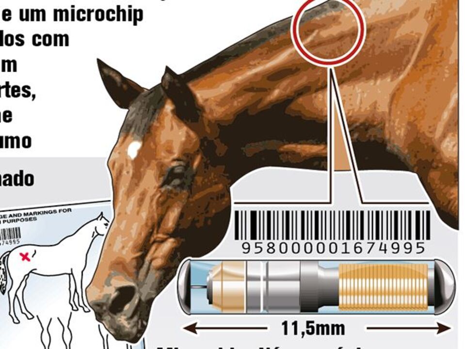 Fraude para contornar inspeções