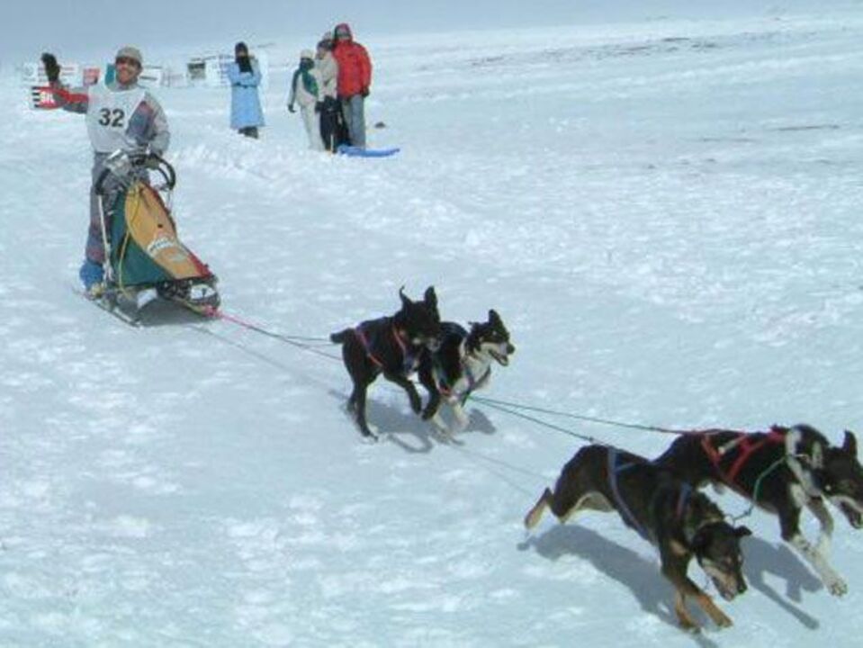 Mushing integrado na Federação de Desportos de Inverno 