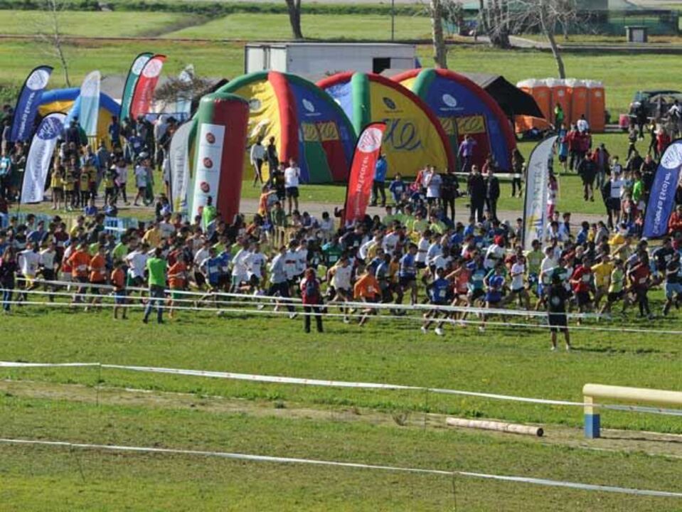 Corta-mato vai juntar 900 alunos