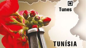 Nova agitação na Tunísia após crime político