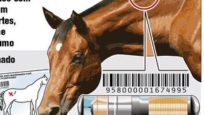 Fraude para contornar inspeções