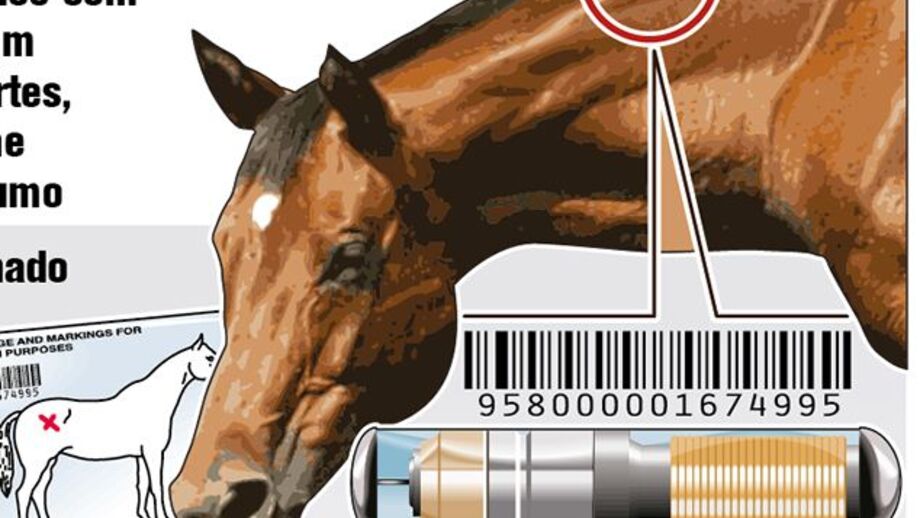 Fraude para contornar inspeções