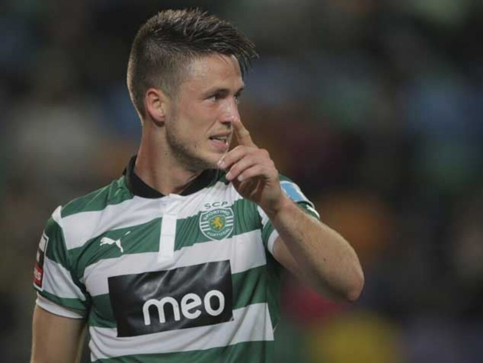 Premier League entusiasma Wolfswinkel