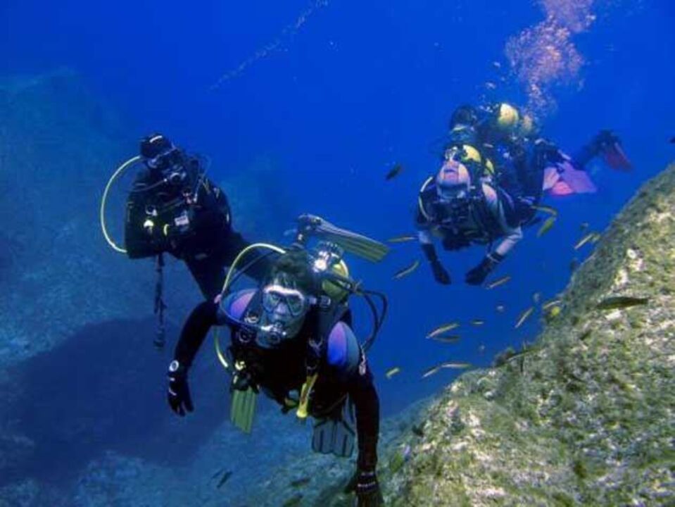 Mergulho: AOMA quer evitar massificação do turismo subquático
