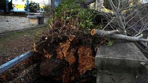 Chuva forte na Madeira provoca várias inundações