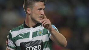 Premier League entusiasma Wolfswinkel