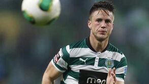 Leões confirmam venda de Wolfswinkel