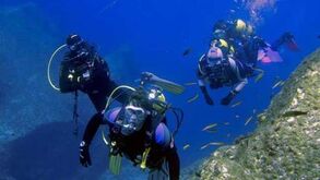 Mergulho: AOMA quer evitar massificação do turismo subquático