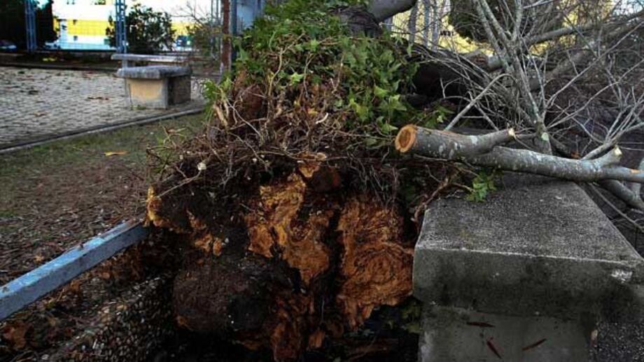 Chuva forte na Madeira provoca várias inundações