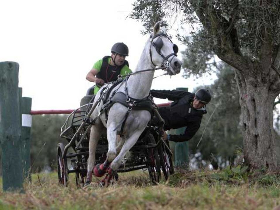 Golegã inaugura Centro de Alto Rendimento de Desportos Equestres
