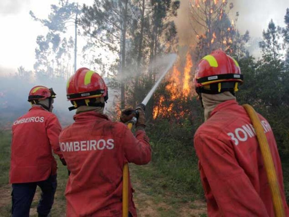 Incêndio em Sever do Vouga já foi dominado