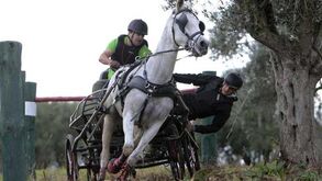 Golegã inaugura Centro de Alto Rendimento de Desportos Equestres