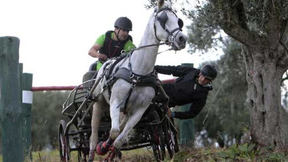Golegã inaugura Centro de Alto Rendimento de Desportos Equestres