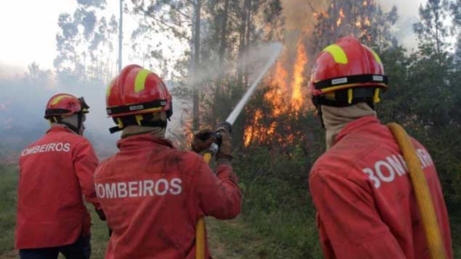 Incêndio em Sever do Vouga já foi dominado