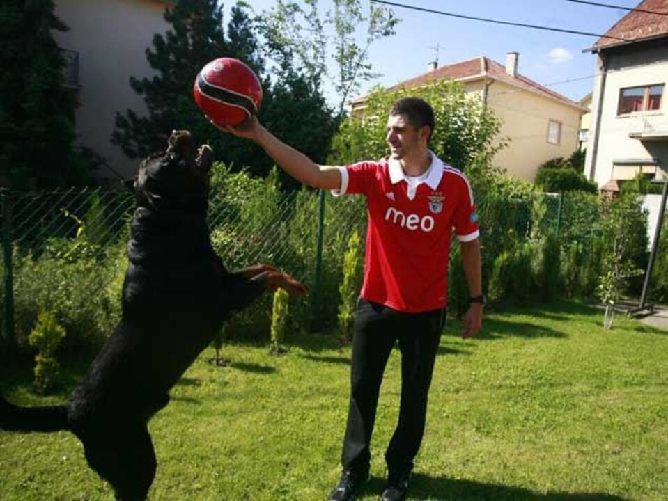 Mitrovic: «Matic é um dos melhores do Mundo»