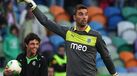 Novo leão ainda está por arrumar