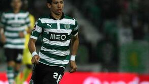 Martins confia em Jardim