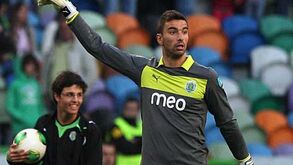 Novo leão ainda está por arrumar