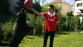 Mitrovic: «Matic é um dos melhores do Mundo»