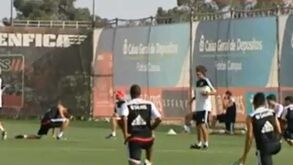 Benfica TV vai passar na Cabovisão