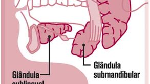 A grande luta de Vilanova