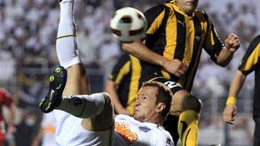 Zé Eduardo: «Não vejo a hora de vestir a camisola do Sporting»