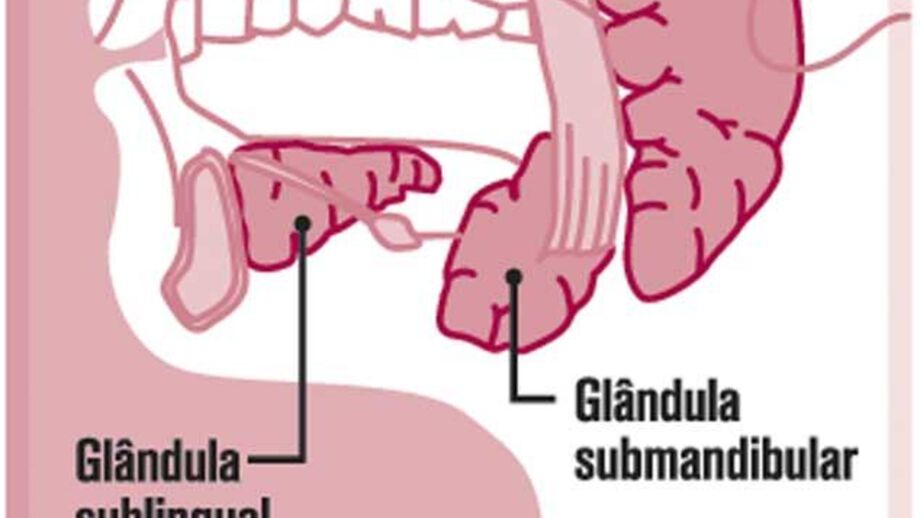 A grande luta de Vilanova