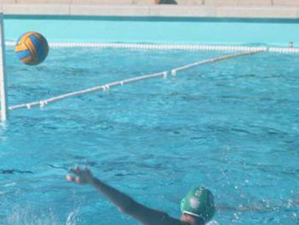 Pólo Aquático: Campeão Salgueiros arrisca ser extinto