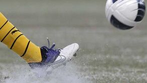 A emoção está de volta!