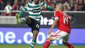 A ver passar o condor