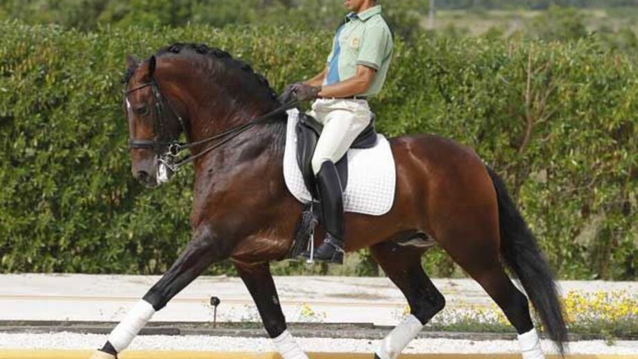 Equitação: Gonçalo Carvalho melhor ibérico no Europeu