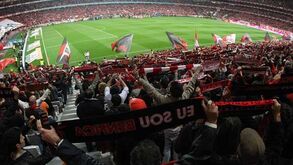 Conquista da Champions na Luz vale fortuna